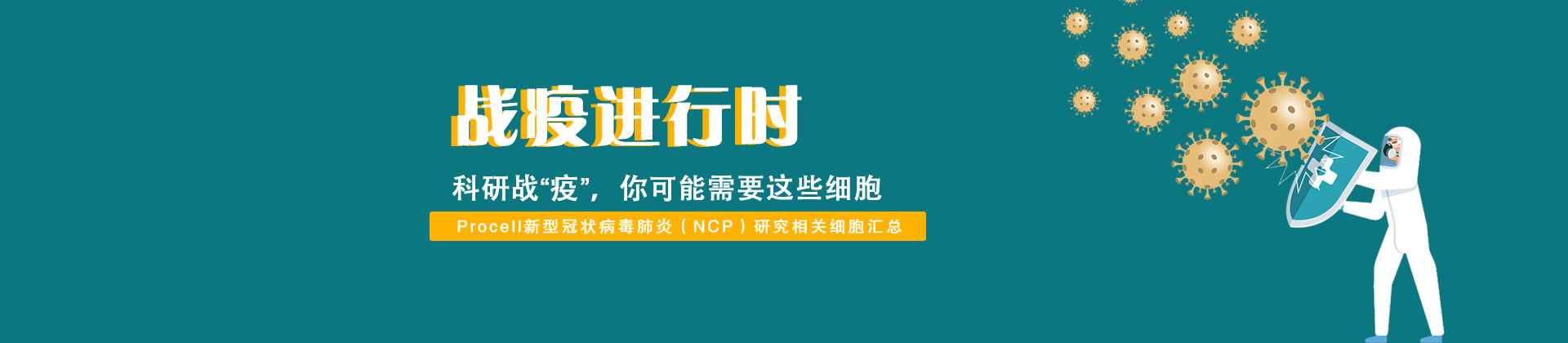 2019-nCoV 科研用相關(guān)細胞