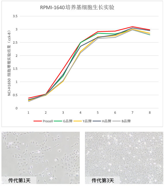 Procell RPMI-1640培養(yǎng)基培養(yǎng)NCI-H1650細(xì)胞三天增殖情況