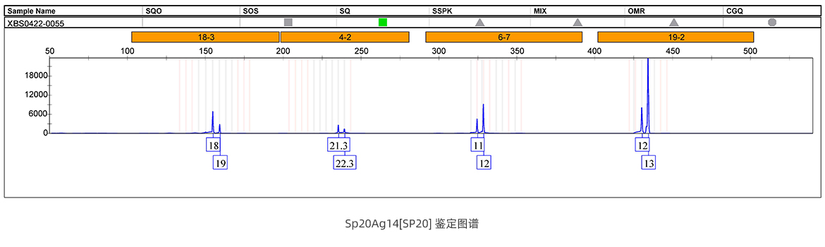 Sp20Ag14[SP20] 鑒定圖譜