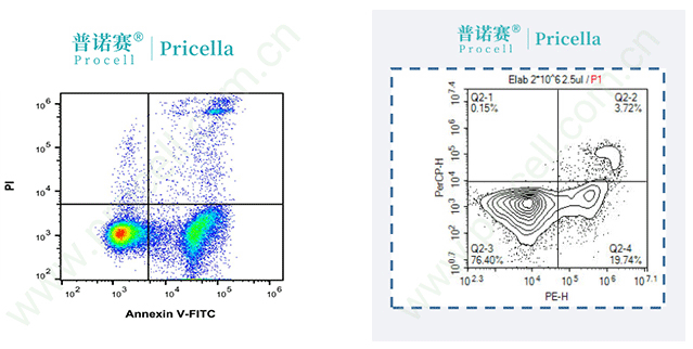 兩群細胞間隔較大，分群很明顯，1T當2T用