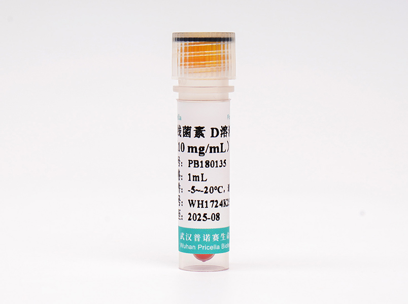 放線菌素 D溶液（10 mg/mL）