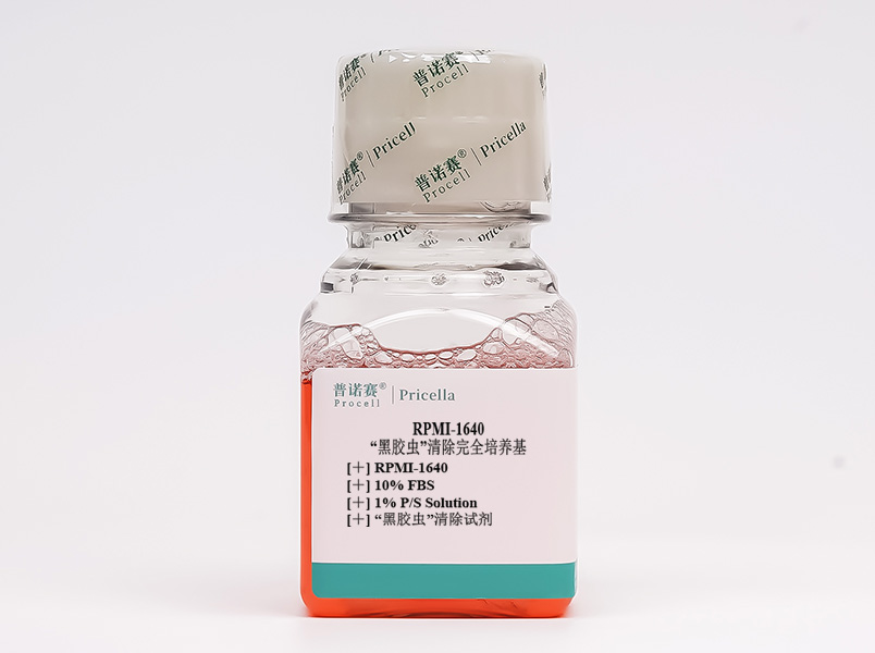 “黑膠蟲”清除完全培養(yǎng)基(RPMI-1640，含10%FBS)