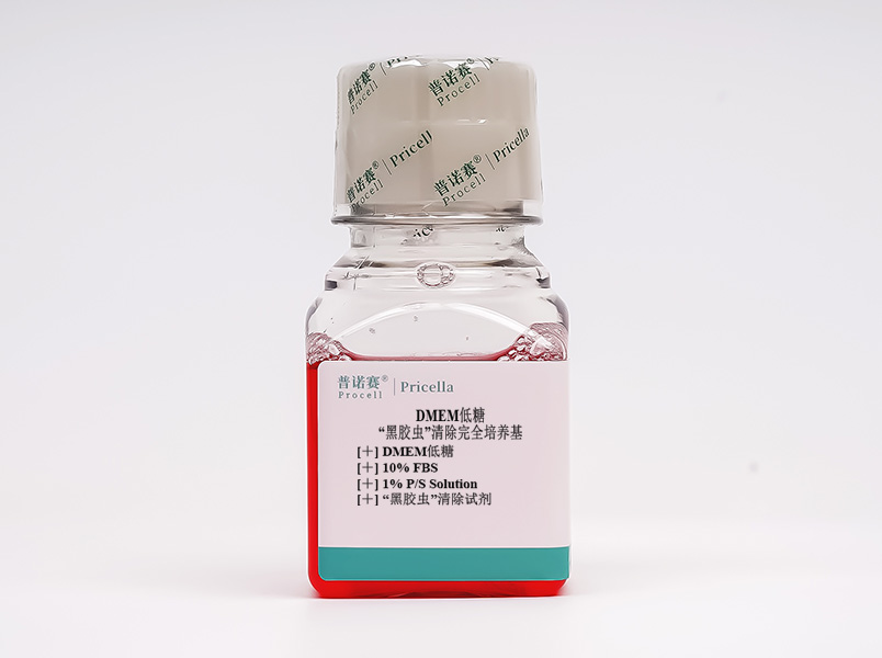 “黑膠蟲”清除完全培養(yǎng)基(DMEM低糖，含10%FBS)