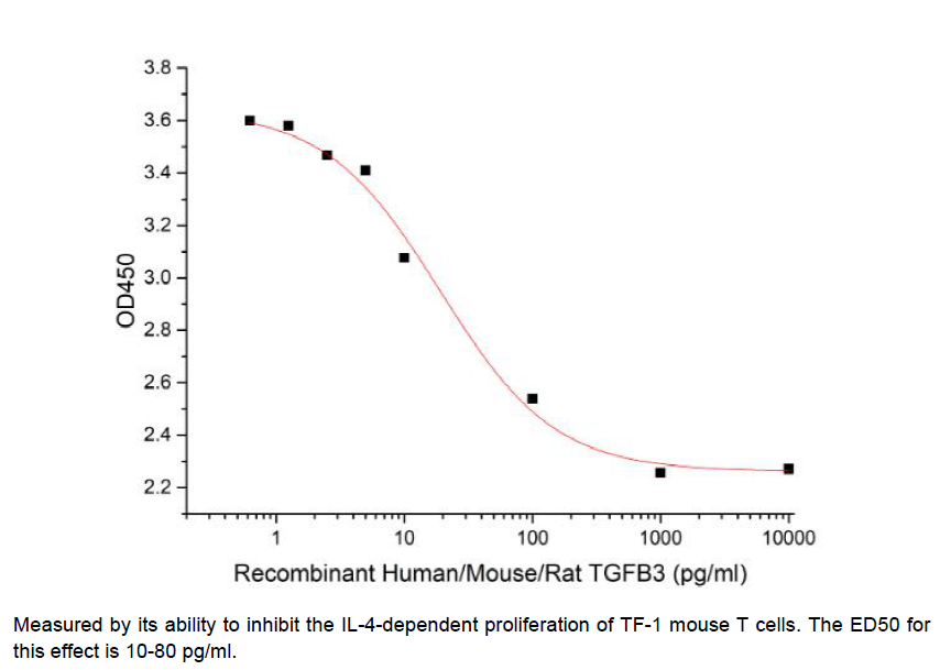 TGFβ3/ TGFB3, Human, Recombinant