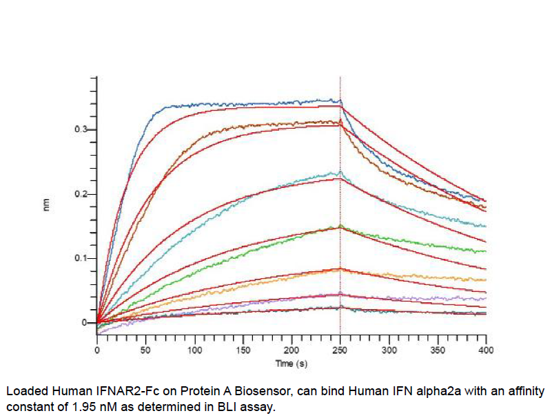 Procell-IFN-α2A (Lys46), Human, Recombinant