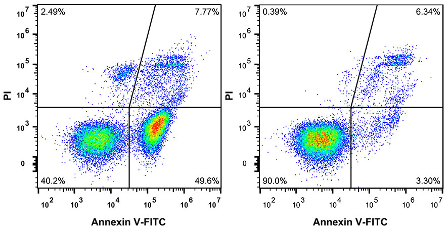 細(xì)胞用FITC-Annexin V / PI熒光雙染細(xì)胞凋亡檢測(cè)試劑盒檢測(cè)效果圖