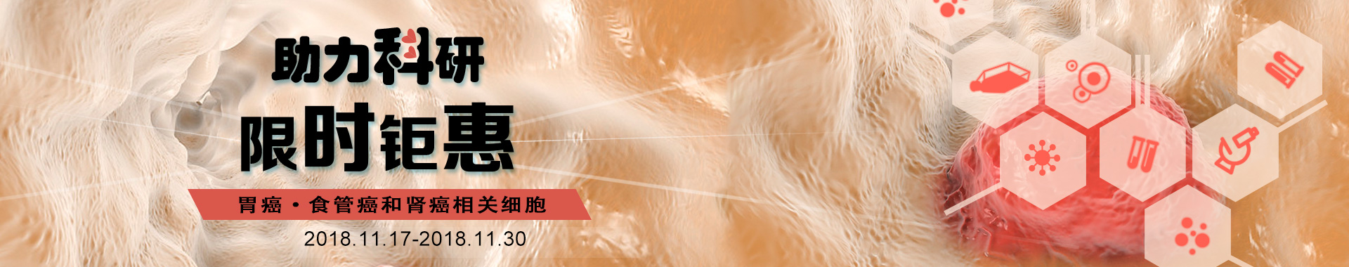 促銷banner
