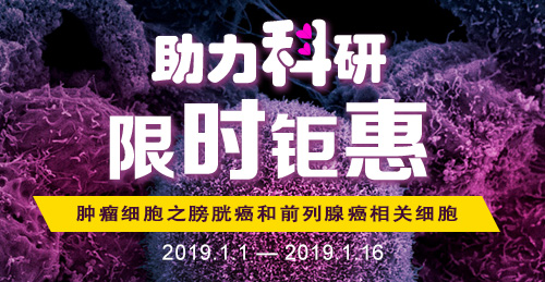 促銷banner
