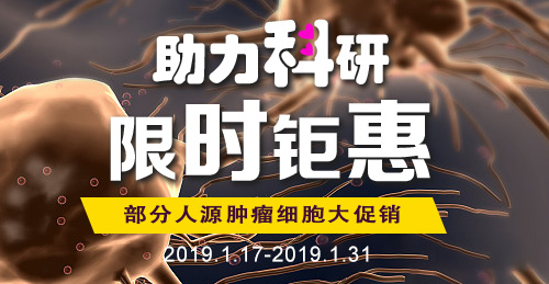 促銷banner