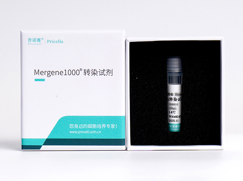 Mergene1000? Vero細(xì)胞專用DNA轉(zhuǎn)染試劑